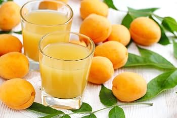 51oT8ZLnqyL._AC_UF350,350_QL80_ (1)